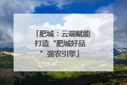 肥城：云端赋能 打造“肥城好品”强农引擎