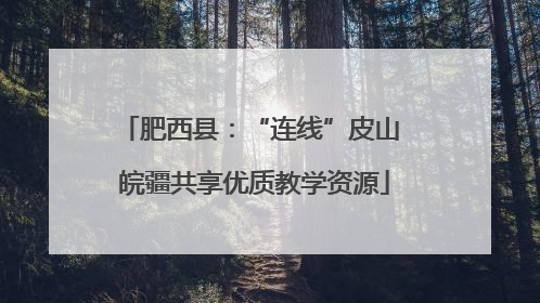 肥西县：“连线”皮山 皖疆共享优质教学资源