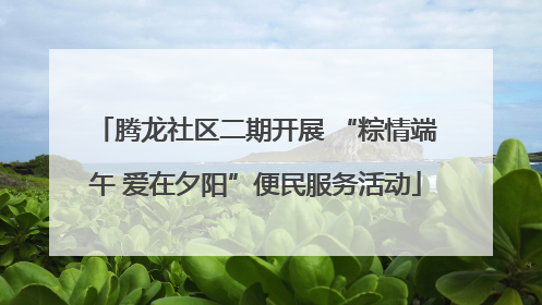 腾龙社区二期开展 “粽情端午 爱在夕阳”便民服务活动