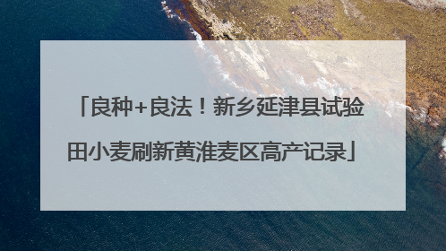 良种+良法！新乡延津县试验田小麦刷新黄淮麦区高产记录