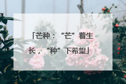 芒种：“芒”着生长，“种”下希望