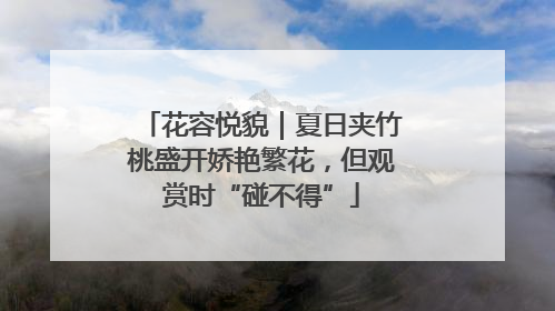 花容悦貌｜夏日夹竹桃盛开娇艳繁花，但观赏时“碰不得”