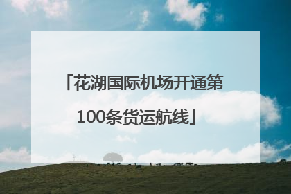 花湖国际机场开通第100条货运航线