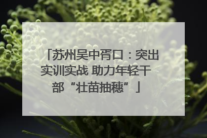 苏州吴中胥口：突出实训实战 助力年轻干部“壮苗抽穗”