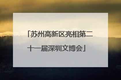 苏州高新区亮相第二十一届深圳文博会