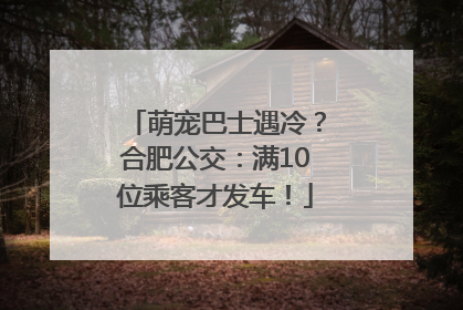 萌宠巴士遇冷？合肥公交：满10位乘客才发车！