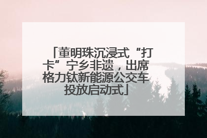 董明珠沉浸式“打卡”宁乡非遗，出席格力钛新能源公交车投放启动式