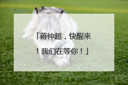蒋仲超，快醒来！我们在等你！