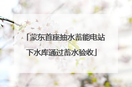 蒙东首座抽水蓄能电站下水库通过蓄水验收