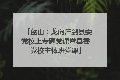 蓝山：龙向洋到县委党校上专题党课暨县委党校主体班党课