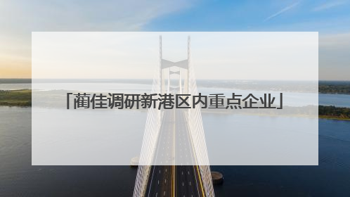 蔺佳调研新港区内重点企业