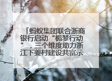 蚂蚁集团联合浙商银行启动“栀梦行动”，三个维度助力浙江下姜村建设共富示范区示范点