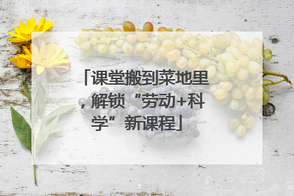 课堂搬到菜地里，解锁“劳动+科学”新课程