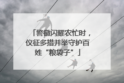 警徽闪耀农忙时，仪征多措并举守护百姓“粮袋子”