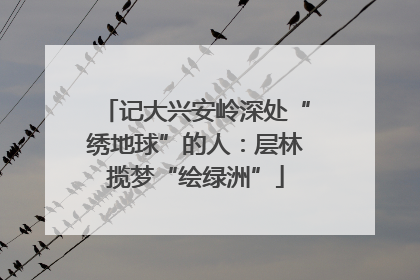 记大兴安岭深处“绣地球”的人：层林揽梦“绘绿洲”
