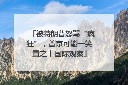 被特朗普怒骂“疯狂”，普京可能一笑置之丨国际观察