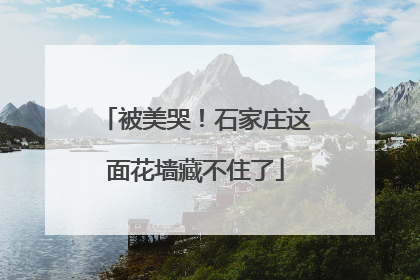 被美哭！石家庄这面花墙藏不住了