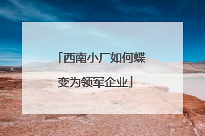 西南小厂如何蝶变为领军企业