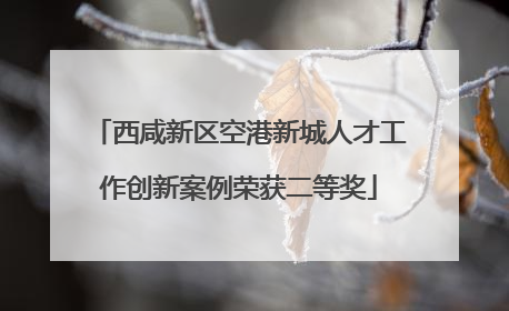 西咸新区空港新城人才工作创新案例荣获二等奖
