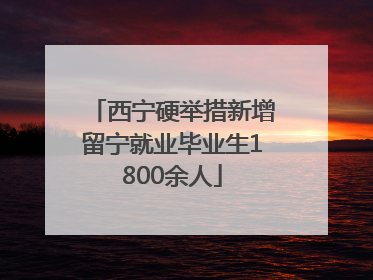 西宁硬举措新增留宁就业毕业生1800余人