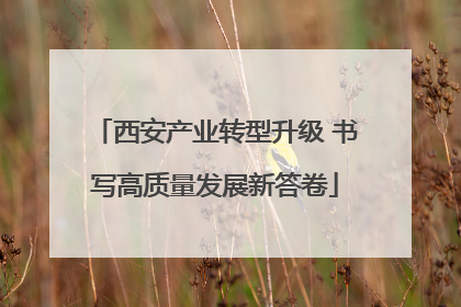 西安产业转型升级 书写高质量发展新答卷