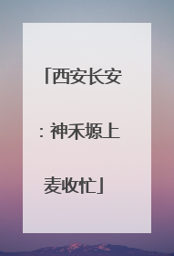 西安长安：神禾塬上麦收忙