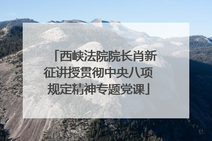 西峡法院院长肖新征讲授贯彻中央八项规定精神专题党课