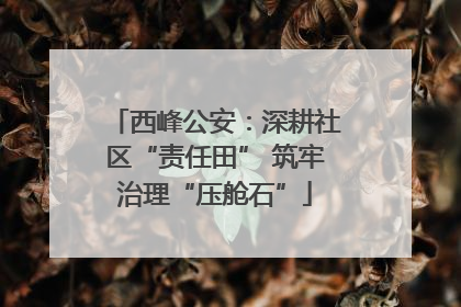 西峰公安：深耕社区“责任田” 筑牢治理“压舱石”