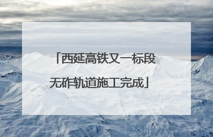 西延高铁又一标段无砟轨道施工完成