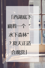 西湖底下藏着一个“水下森林”？夏天正适合观赏