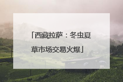 西藏拉萨：冬虫夏草市场交易火爆