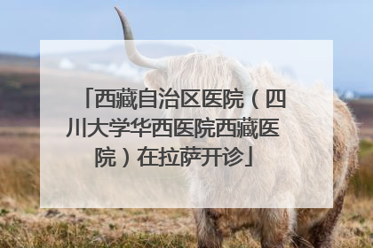 西藏自治区医院（四川大学华西医院西藏医院）在拉萨开诊