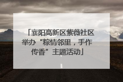 襄阳高新区紫薇社区举办“粽情邻里，手作传香”主题活动