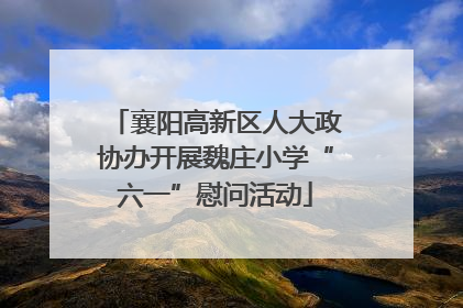 襄阳高新区人大政协办开展魏庄小学“六一”慰问活动