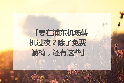 要在浦东机场转机过夜？除了免费躺椅，还有这些