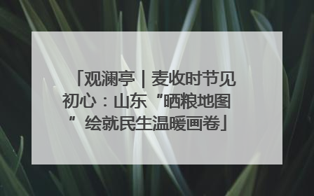观澜亭｜麦收时节见初心：山东“晒粮地图”绘就民生温暖画卷