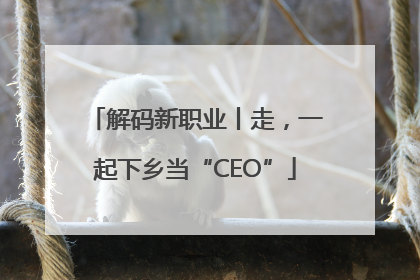 解码新职业丨走，一起下乡当“CEO”