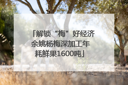解锁“梅”好经济 余姚杨梅深加工年耗鲜果1600吨