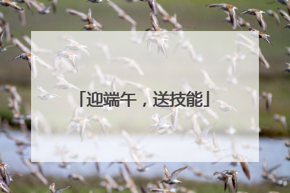 迎端午，送技能