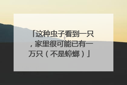 这种虫子看到一只，家里很可能已有一万只（不是蟑螂）