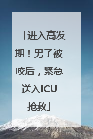 进入高发期！男子被咬后，紧急送入ICU抢救