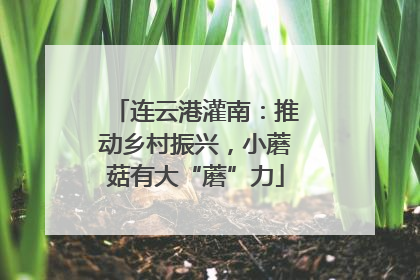 连云港灌南：推动乡村振兴，小蘑菇有大“蘑”力