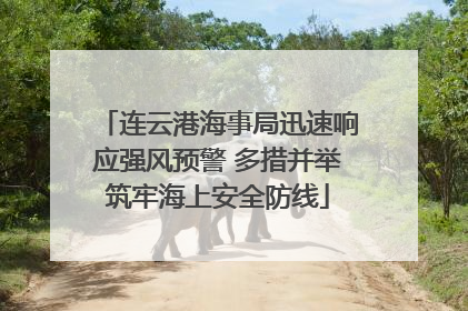 连云港海事局迅速响应强风预警 多措并举筑牢海上安全防线