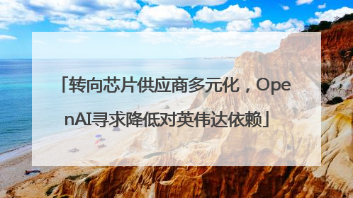转向芯片供应商多元化，OpenAI寻求降低对英伟达依赖