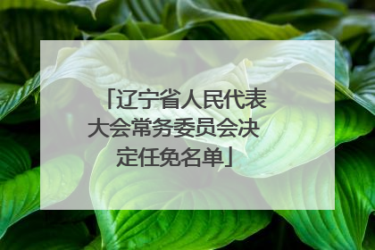 辽宁省人民代表大会常务委员会决定任免名单