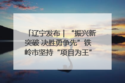 辽宁发布｜“振兴新突破 决胜勇争先”铁岭市坚持“项目为王”推进经济高质量发展