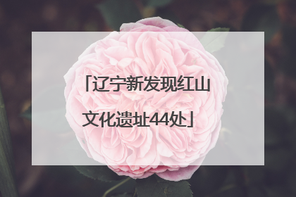 辽宁新发现红山文化遗址44处