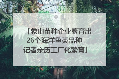 象山苗种企业繁育出26个海洋鱼类品种 记者亲历工厂化繁育