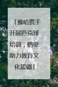 豫哈携手开展匹克球培训，鹤壁助力教育文化援疆