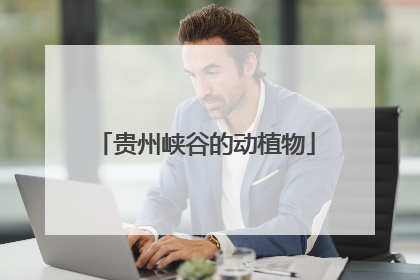 贵州峡谷的动植物